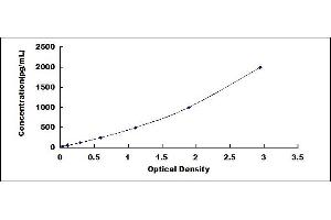 Typical standard curve (LI Cadherin ELISA Kit)