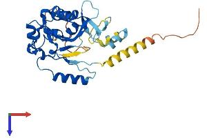 Phosphatidylinositol-Specific Phospholipase C, X Domain Containing 2 (PLCXD2) (AA 1-305) protein (His tag)