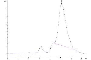 The purity of Mouse HGFA (pro form) is greater than 95 % as determined by SEC-HPLC. (HGFA Protein (AA 35-653) (His tag))