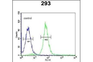 PHYH Antibody (N-term) (ABIN652656 and ABIN2842441) flow cytometric analysis of 293 cells (right histogram) compared to a negative control cell (left histogram). (PHYH antibody  (N-Term))