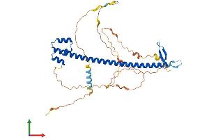 AlphaFold protein structure predicition of Mouse Recombinant Nfe2 Protein, UniprotID Q07279 (NFE2 Protein (AA 1-373) (His tag))