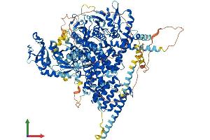 AlphaFold protein structure predicition of Human Recombinant CLUH Protein, UniprotID O75153 (CLUH Protein (AA 1-1309) (His tag))