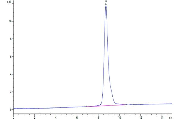 LTK Protein (AA 17-424) (His tag)