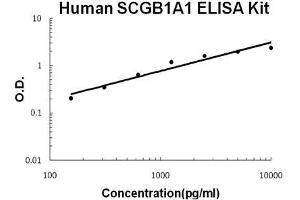 Human SCGB1A1/uteroglobin PicoKine ELISA Kit standard curve (SCGB1A1 ELISA Kit)