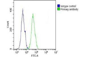 Overlay histogram showing A431 cells stained with Antibody (green line).