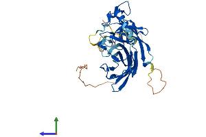 AlphaFold protein structure predicition of Human Recombinant POLDIP2 Protein, UniprotID Q9Y2S7