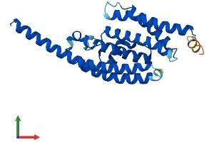 Protein Structure (PS) image for Translin (TSN) (AA 1-228) protein (His tag) (ABIN7557784)