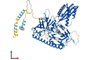 Protein Structure (PS) image for Centrosomal Protein 76kDa (Cep76) (AA 1-659) protein (His tag) (ABIN7553352)