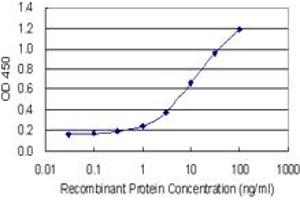 Detection limit for recombinant GST tagged SHMT2 is 0. (SHMT2 antibody  (AA 401-503))