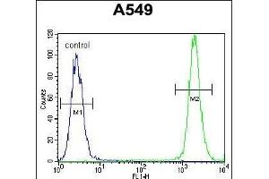 TRIM9 Antibody (C-term) (ABIN655760 and ABIN2845203) flow cytometric analysis of A549 cells (right histogram) compared to a negative control cell (left histogram). (TRIM9 antibody  (C-Term))