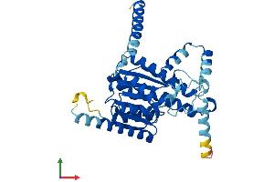 Protein Structure (PS) image for Retinol Dehydrogenase 10 (All-Trans) (RDH10) (AA 1-341) protein (His tag) (ABIN7559819)