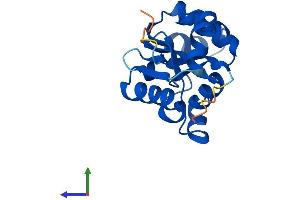 AlphaFold protein structure predicition of Human Recombinant NME6 Protein, UniprotID O75414