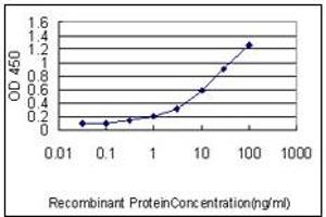 ELISA image for anti-Cut-Like Homeobox 1 (CUX1) (AA 521-621) antibody (ABIN614596) (CUX1 antibody  (AA 521-621))