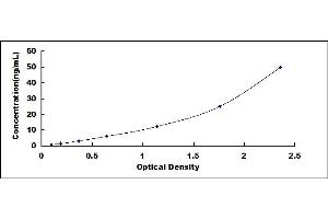 Typical standard curve (GOT1 ELISA Kit)