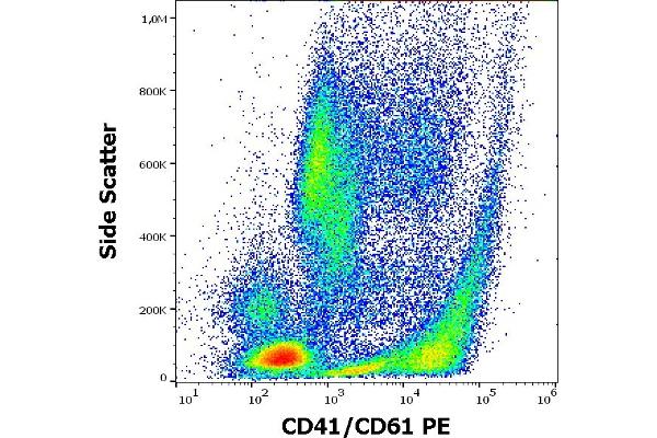 CD41, CD61 抗体  (PE)