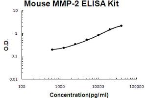 Mouse MMP-2 Accusignal ELISA Kit Mouse MMP-2 AccuSignal ELISA Kit standard curve.