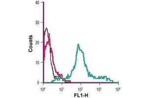 Cell surface detection of PAR-4 in live intact human MEG-01 megakaryoblastic leukemia cells: (black line) Cells. (F2RL3 antibody  (1st Extracellular Loop) (FITC))