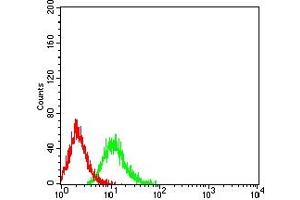 Flow cytometric analysis of Jurkat cells using TNFRSF19 mouse mAb (green) and negative control (red). (TNFRSF19 antibody  (AA 30-170))