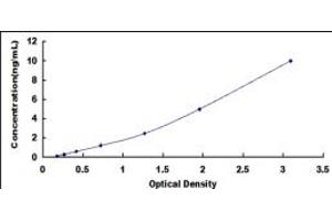 Desmocollin 1 ELISA Kit