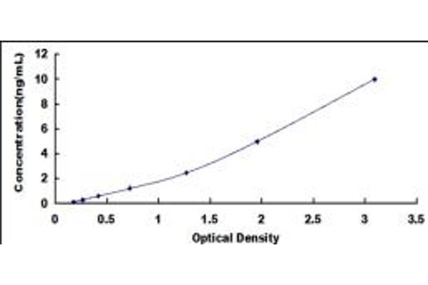 Desmocollin 1 ELISA Kit