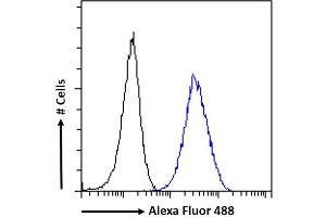 (ABIN184799) Flow cytometric analysis of paraformaldehyde fixed A431 cells (blue line), permeabilized with 0. (ARL2 antibody  (C-Term))
