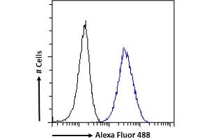 (ABIN184799) Flow cytometric analysis of paraformaldehyde fixed A431 cells (blue line), permeabilized with 0. (ARL2 antibody  (C-Term))