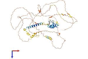 AlphaFold protein structure predicition of Human Recombinant PJA1 Protein, UniprotID Q8NG27 (PJA1 Protein (AA 1-643) (His tag))