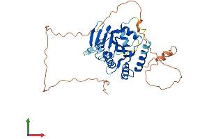 Protein Structure (PS) image for Apolipoprotein B mRNA Editing Enzyme, Catalytic Polypeptide-Like 4 (Putative) (APOBEC4) (AA 1-374) protein (His tag) (ABIN7557368)