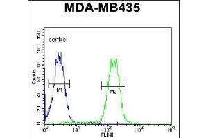 LYRM4 Antibody (Center) (ABIN654638 and ABIN2844335) flow cytometric analysis of MDA-M cells (right histogram) compared to a negative control cell (left histogram). (LYRM4 antibody  (AA 43-69))