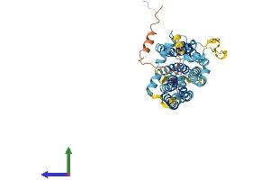 Protein Structure (PS) image for Transmembrane Protein 184B (TMEM184B) (AA 1-407) protein (His tag) (ABIN7558515)