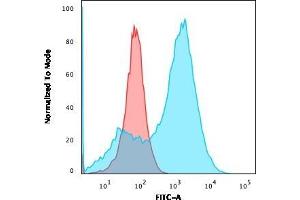 Flow Cytometric Analysis of A549 cells using S100A4 Mouse Monoclonal Antibody (S100A4/1481) followed by goat anti-Mouse IgG-CF488 (Blue); Isotype Control (Red). (s100a4 antibody  (AA 1-200))