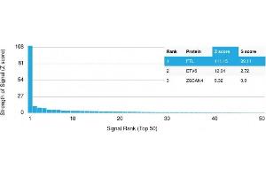 Analysis of Protein Array containing more than 19,000 full-length human proteins using Ferritin, Light Chain Mouse Monoclonal Antibody (FTL/1389) Z- and S- Score: The Z-score represents the strength of a signal that a monoclonal antibody (MAb) (in combination with a fluorescently-tagged anti-IgG secondary antibody) produces when binding to a particular protein on the HuProtTM array. (FTL antibody  (AA 38-165))
