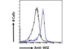 ABIN570947 Flow cytometric analysis of paraformaldehyde fixed HeLa cells (blue line), permeabilized with 0. (WIZ antibody  (Internal Region))