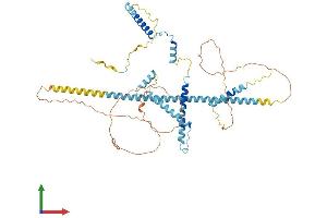 Protein Structure (PS) image for Nuclear Speckle Splicing Regulatory Protein 1 (NSRP1) (AA 1-542) protein (His tag) (ABIN7557484)