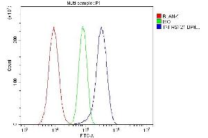 anti-Tumor Necrosis Factor Receptor Superfamily, Member 21 (TNFRSF21) (Middle Region) antibody
