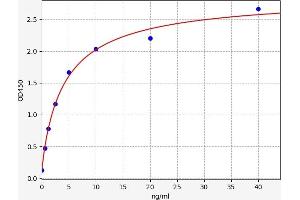 Typical standard curve (Calnexin ELISA Kit)