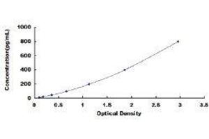 Osteocalcin (BGLAP) ELISA Kit