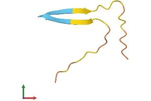 AlphaFold protein structure predicition of Human Recombinant KRTAP20-4 Protein, UniprotID Q3LI62 (KRTAP20-4 Protein (AA 1-44) (Fc Tag))
