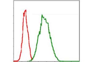 Flow cytometric analysis of Jurkat cells using G6PD monoclonal antibody, clone 2H7  (green) and negative control (red) .