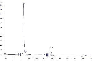 Purification via Ion Exchange Chromatography (Step 1) (TAMRA antibody)