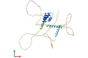 AlphaFold protein structure predicition of Mouse Recombinant Mkx Protein, UniprotID Q8BIA3 (MKX Protein (AA 1-353) (His tag))