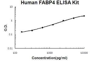 Human FABP4 PicoKine ELISA Kit standard curve (FABP4 ELISA Kit)