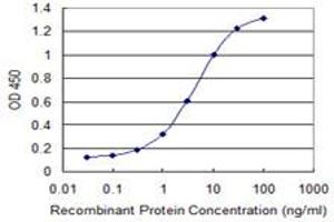 Detection limit for recombinant GST tagged CALN1 is 0. (Calneuron 1 antibody  (AA 36-106))