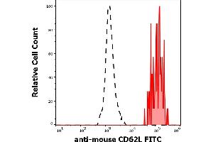 Separation of murine CD62L positive cells (red-filled) from murine CD62L negative cells (black-dashed) in flow cytometry analysis (surface staining) of murine splenocyte suspension stained using anti-mouse CD62L (Mel-14) FITC antibody (concentration in sample 9 μg/mL). (L-Selectin antibody  (FITC))