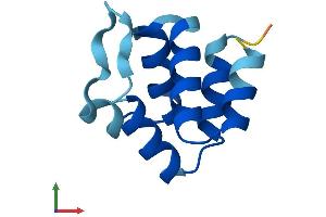 AlphaFold protein structure predicition of Human Recombinant PYDC1 Protein, UniprotID Q8WXC3 (PYDC1 Protein (AA 1-89) (His tag))