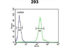 CRELD2 Antibody (C-term) flow cytometric analysis of 293 cells (right histogram) compared to a negative control cell (left histogram). (CRELD2 antibody  (C-Term))