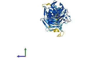 AlphaFold protein structure predicition of Human Recombinant KLHL42 Protein, UniprotID Q9P2K6