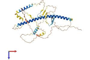 Multicilin Protein (AA 1-379) (His tag)