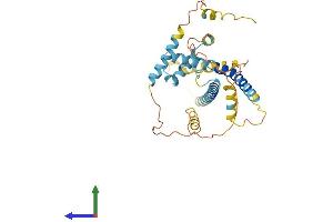 Protein Structure (PS) image for Stimulated By Retinoic Acid 8 (STRA8) (AA 1-330) protein (His tag) (ABIN7544038)