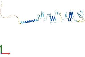 Protein Structure (PS) image for Sarcoglycan, gamma (35kDa Dystrophin-Associated Glycoprotein) (SGCG) (AA 1-291) protein (His tag) (ABIN7546015)